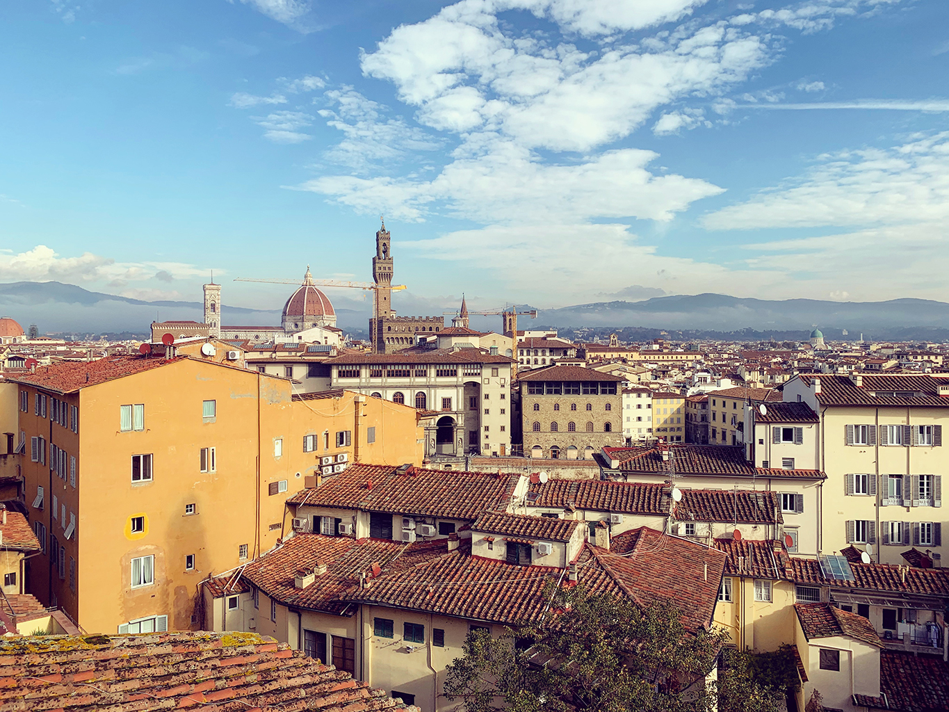 Florence city view